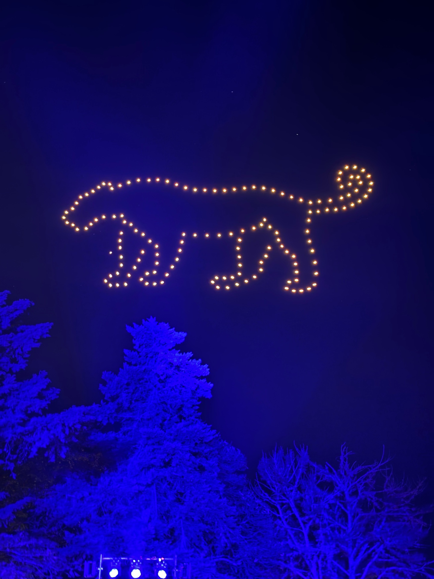 Drone lights drawing a jaguar in the night sky above illuminated trees.
