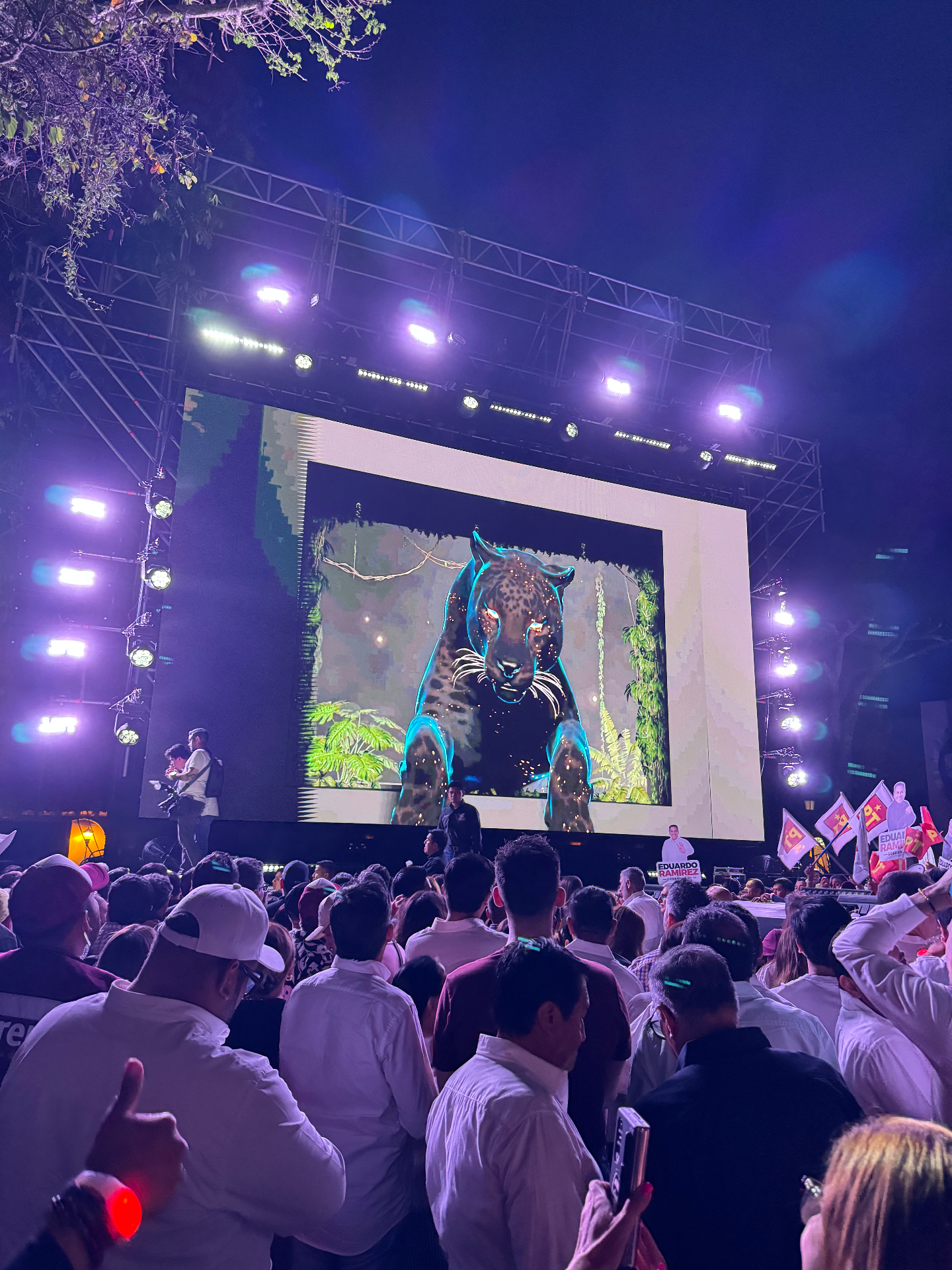 The luminous jaguar projected on the main screen above a packed crowd at night.